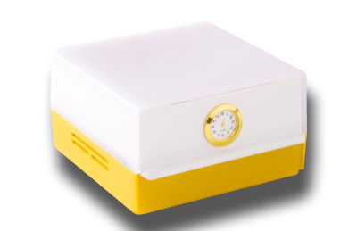 Shabled Shabbos lamp Led - Available in 4 colors